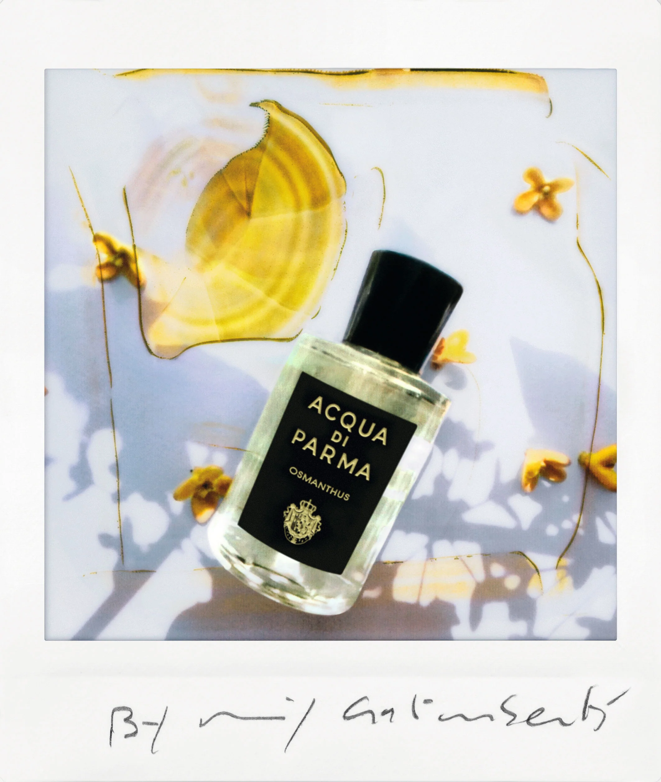 Osmanthus Eau de Parfum - Image 4