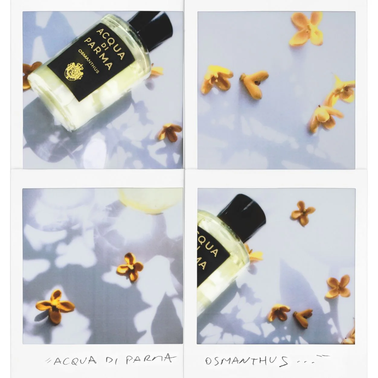 Osmanthus Eau de Parfum - Image 6