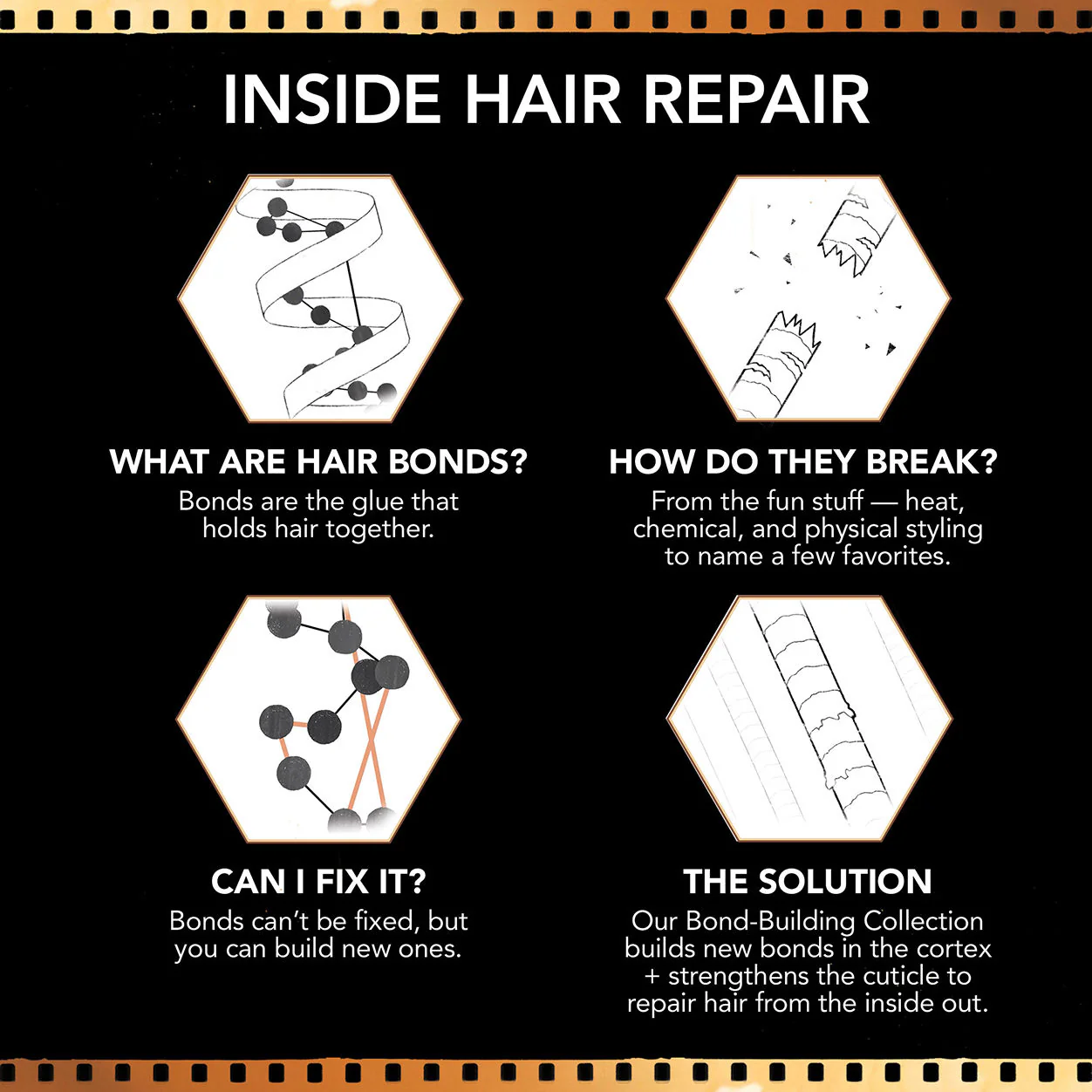 Bond-Building Repair Oil Serum - Image 4