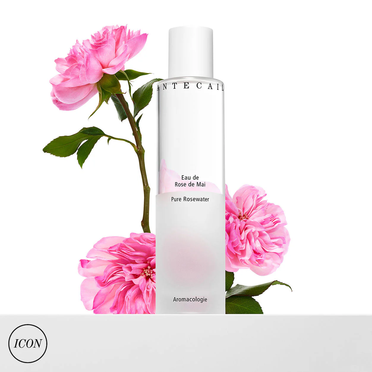 Pure Rosewater - Image 2
