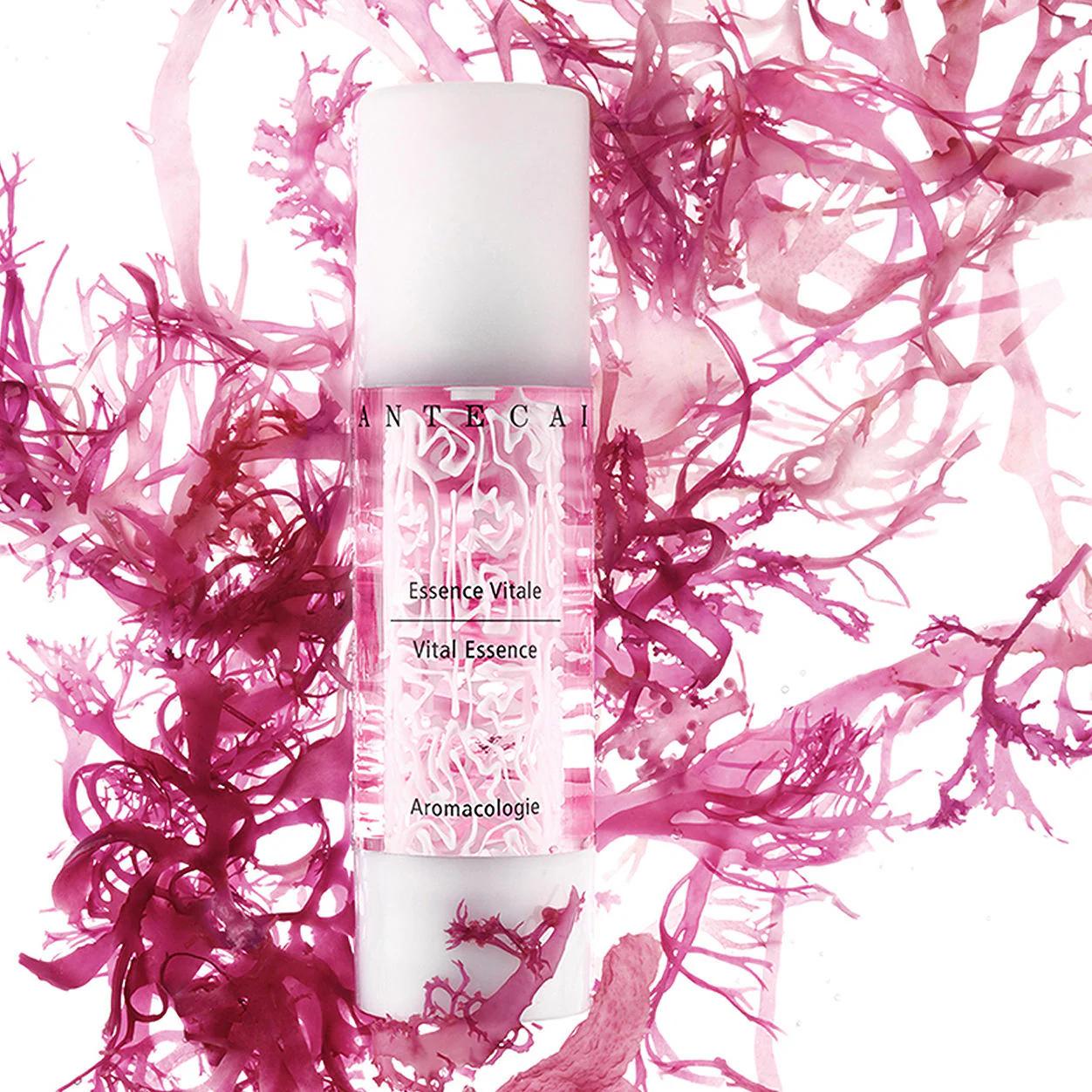Vital Essence Face and Eye Serum - Image 2