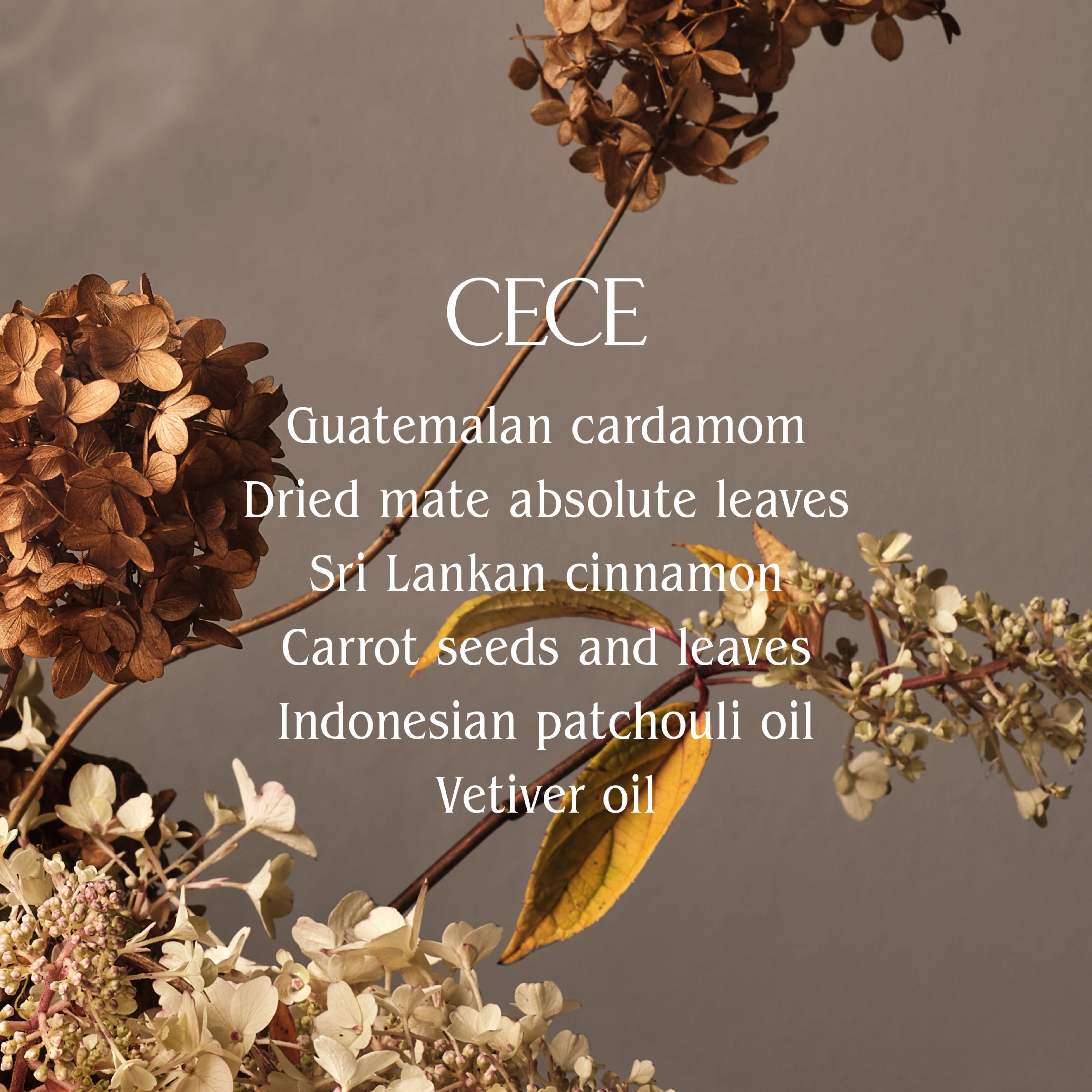 Cece Surface Cleaner - Image 2