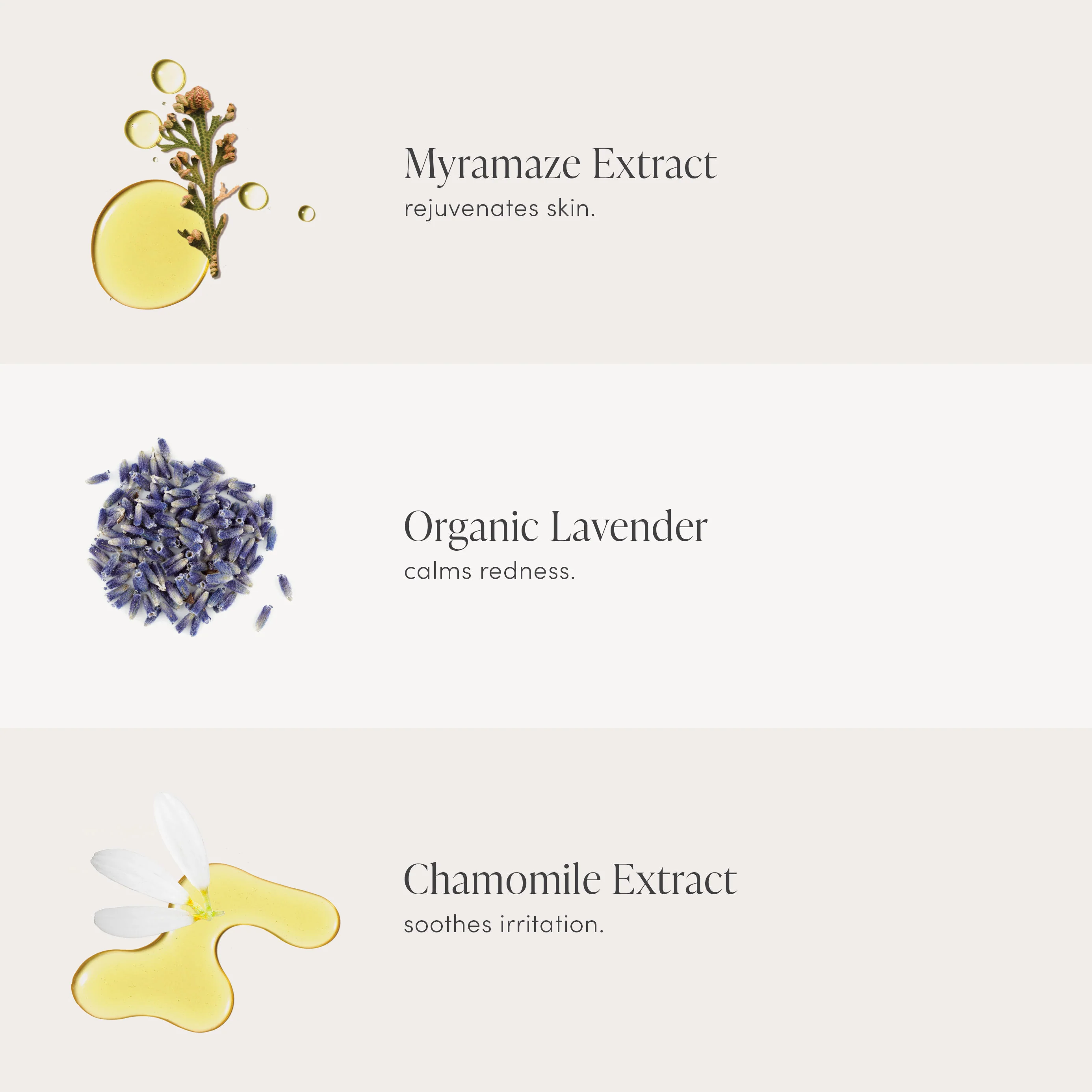 Calming Lavender Hydration Spray Refill - Image 3