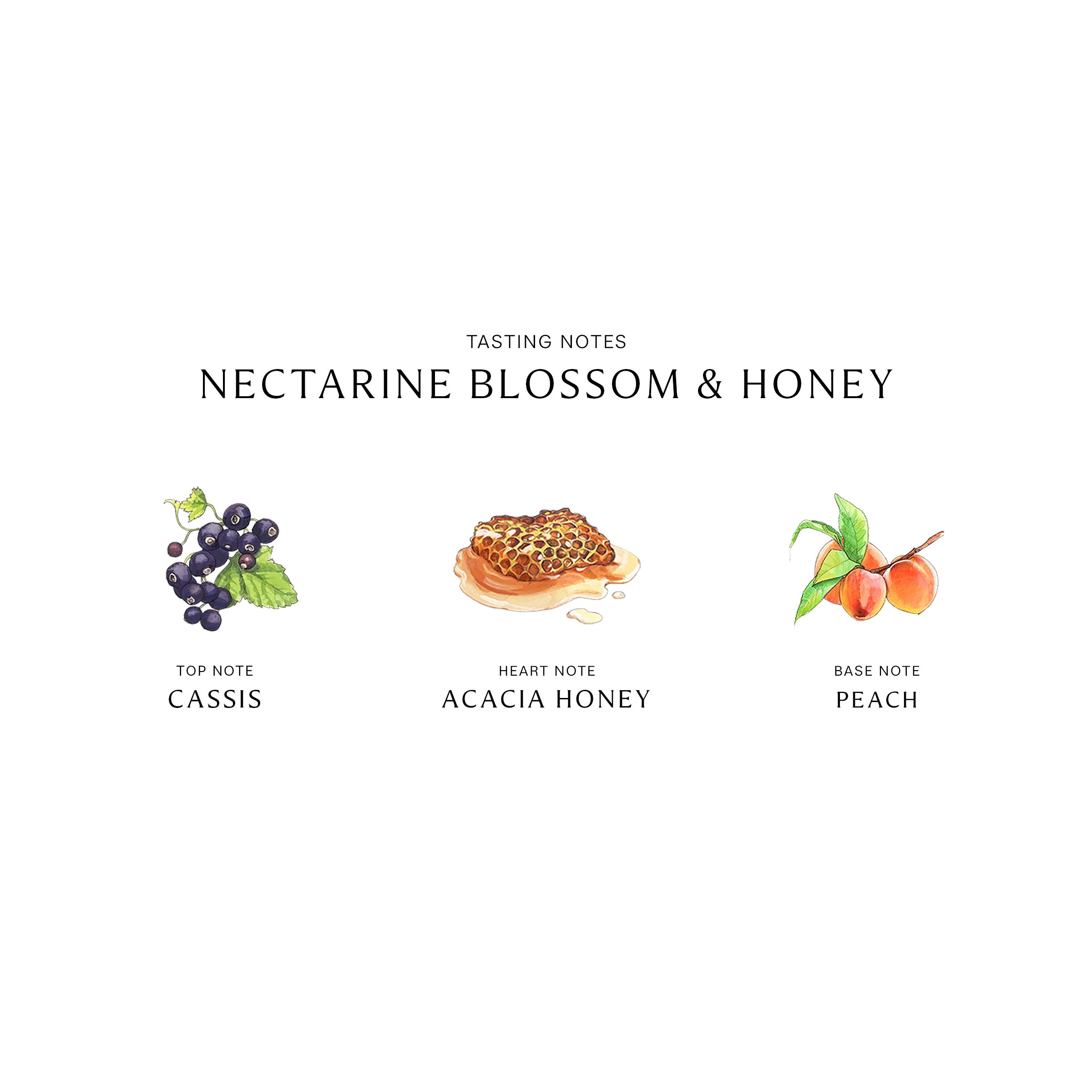 Nectarine Blossom and Honey Cologne - Image 3