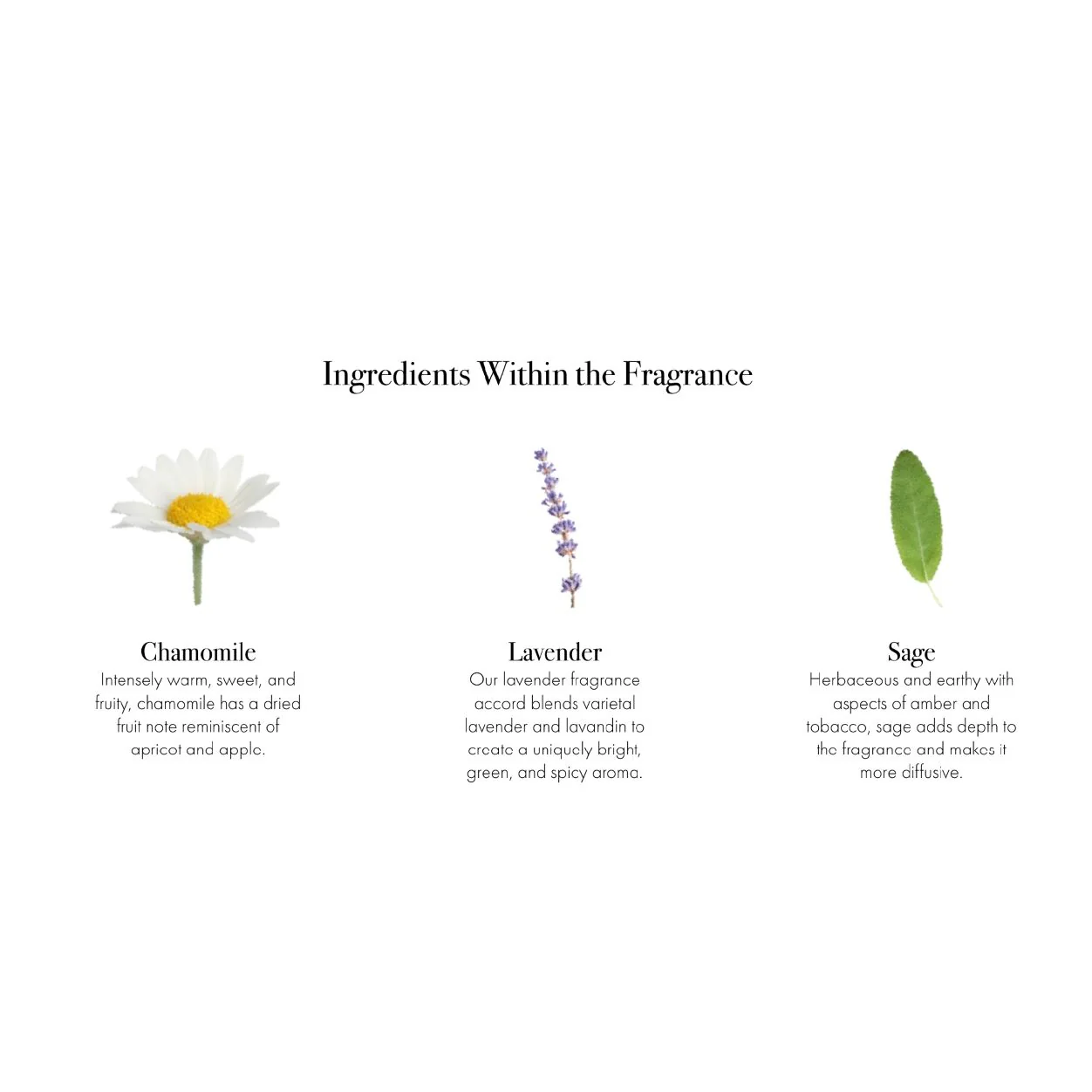 Chamomile Lavender Candle - Image 21