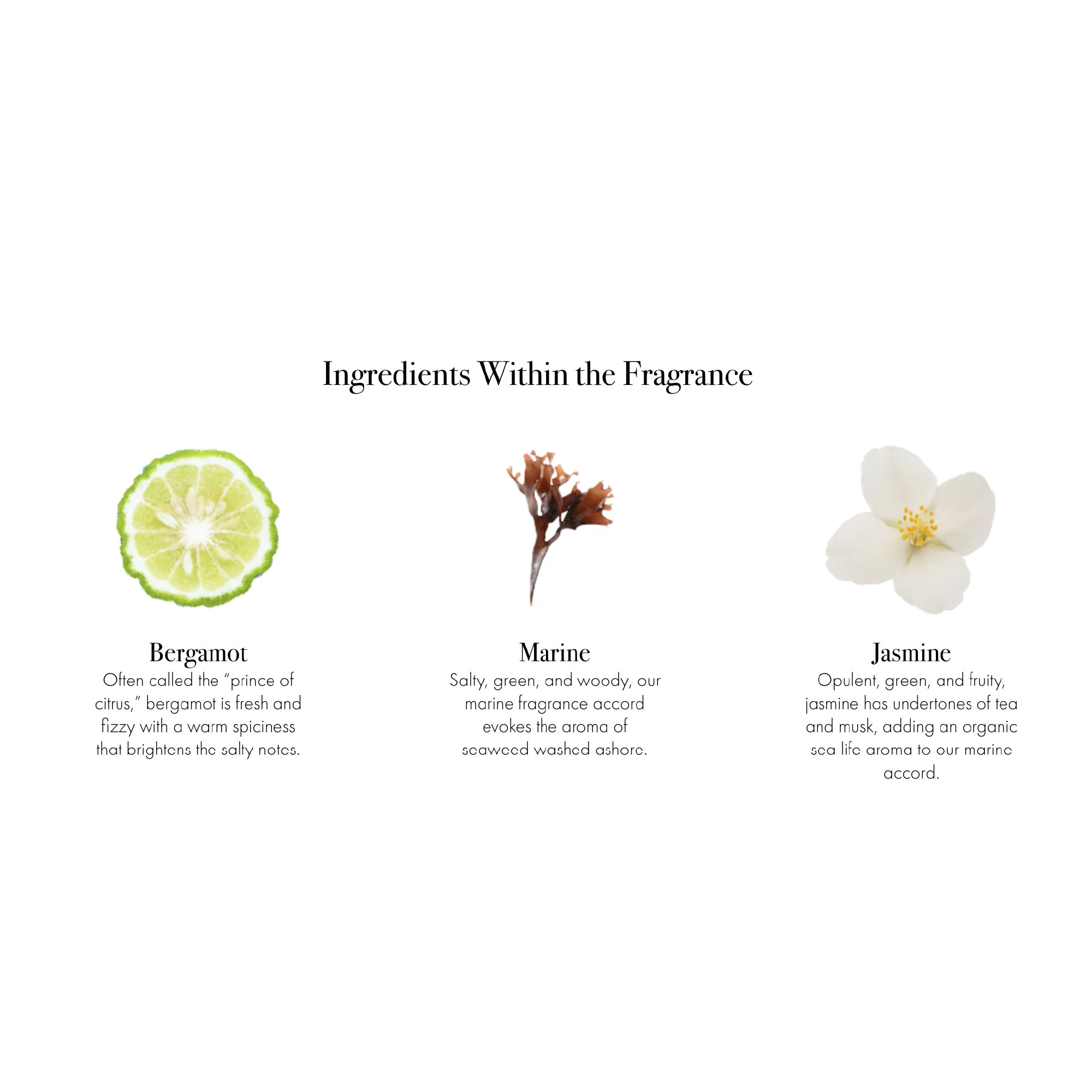 Marine Candle - Image 14