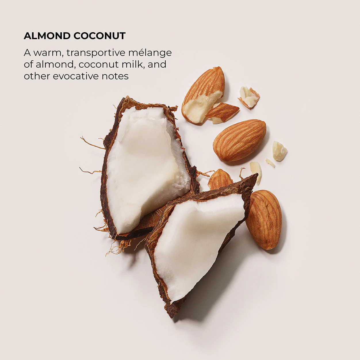 Almond Coconut Exfoliating Body Wash - Image 5