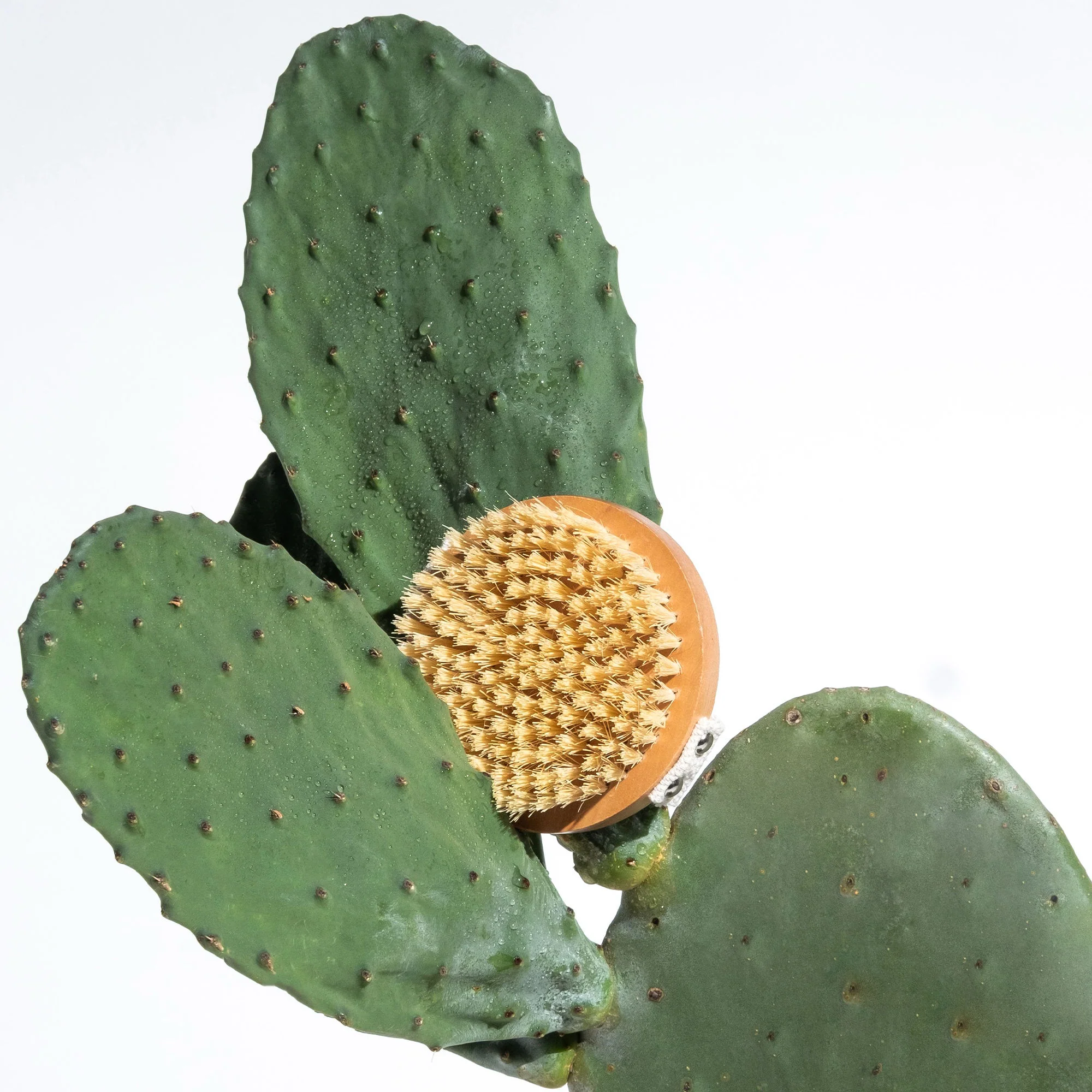Lymph-Lite Boom Brush for Body - Image 5