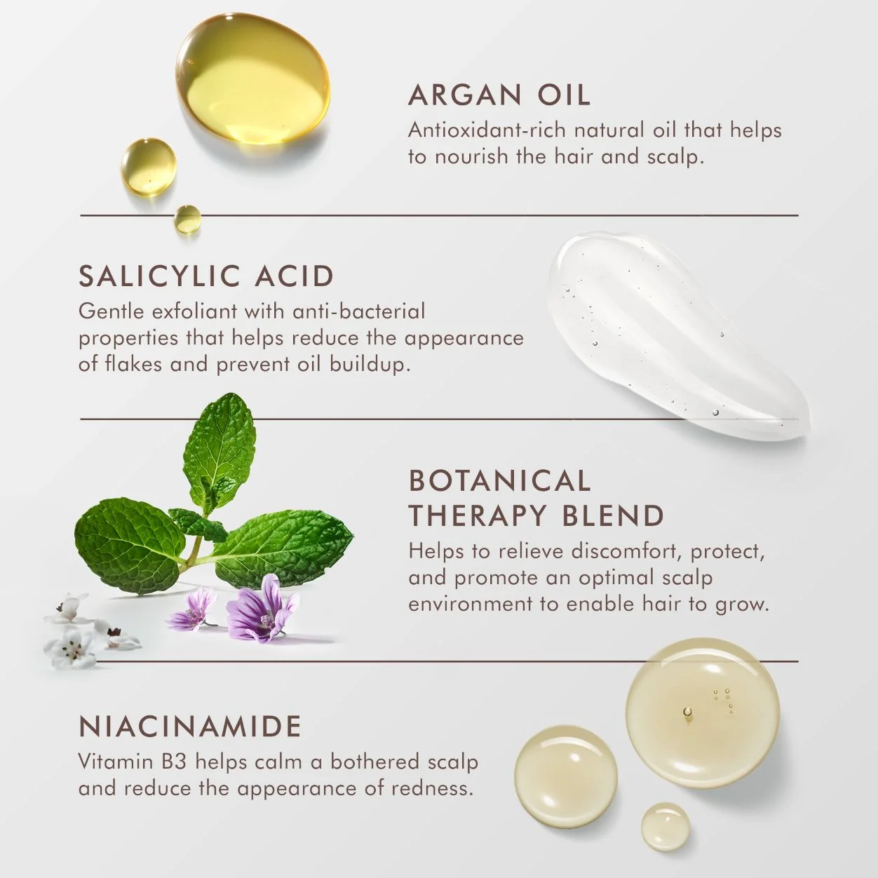 Scalp Balancing Shampoo - Image 3