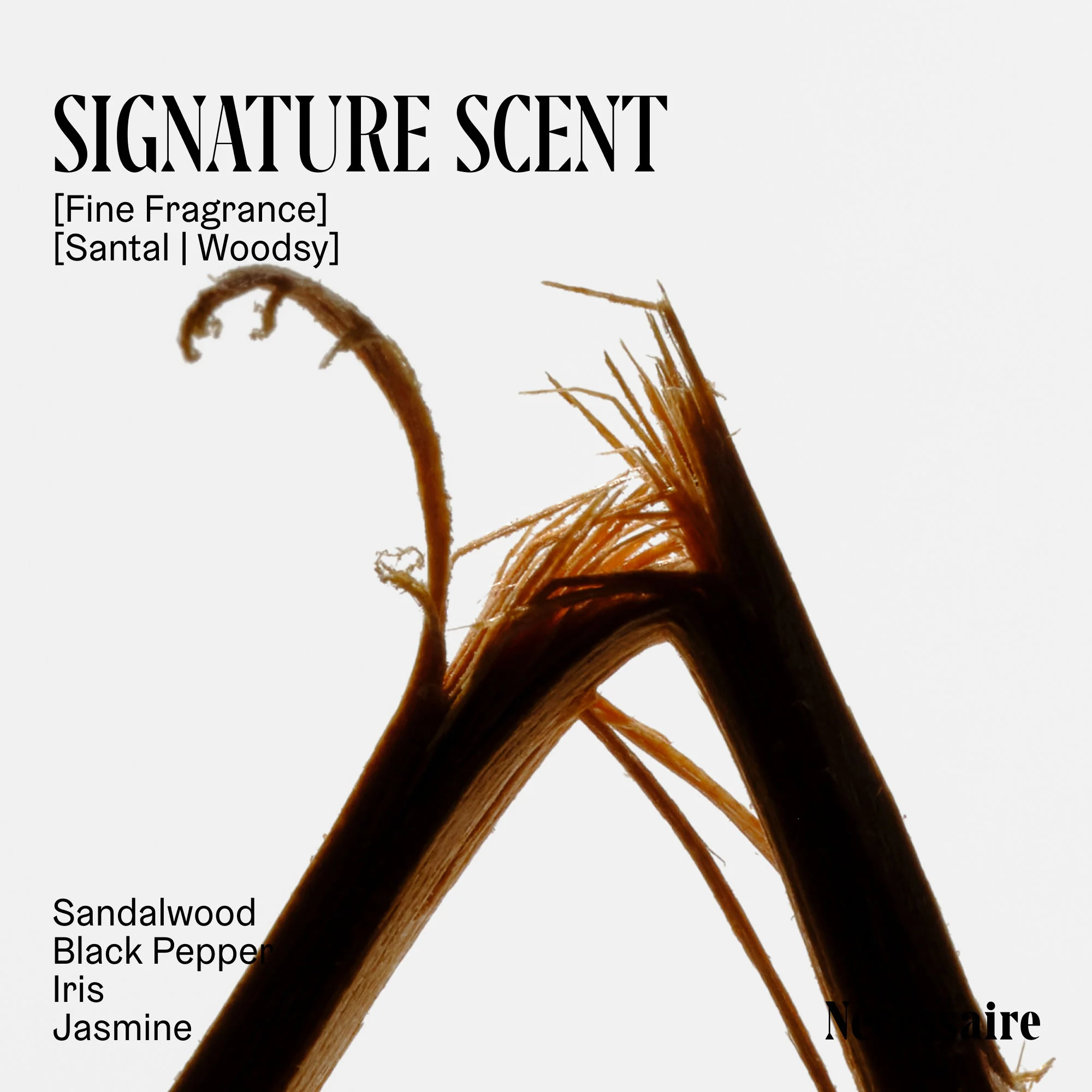 The Body Lotion Santal - Image 5