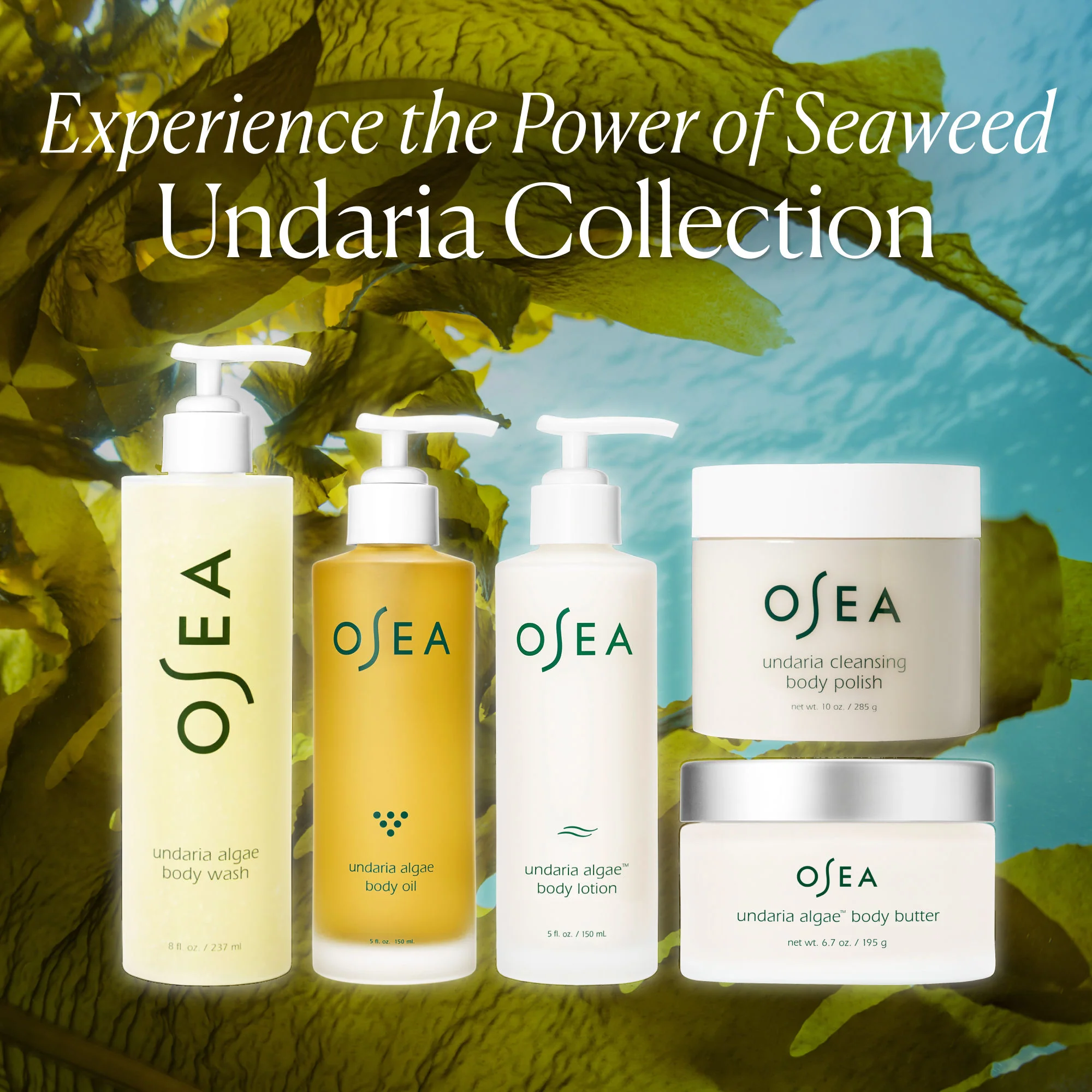 Undaria Algae Body Oil - Image 14