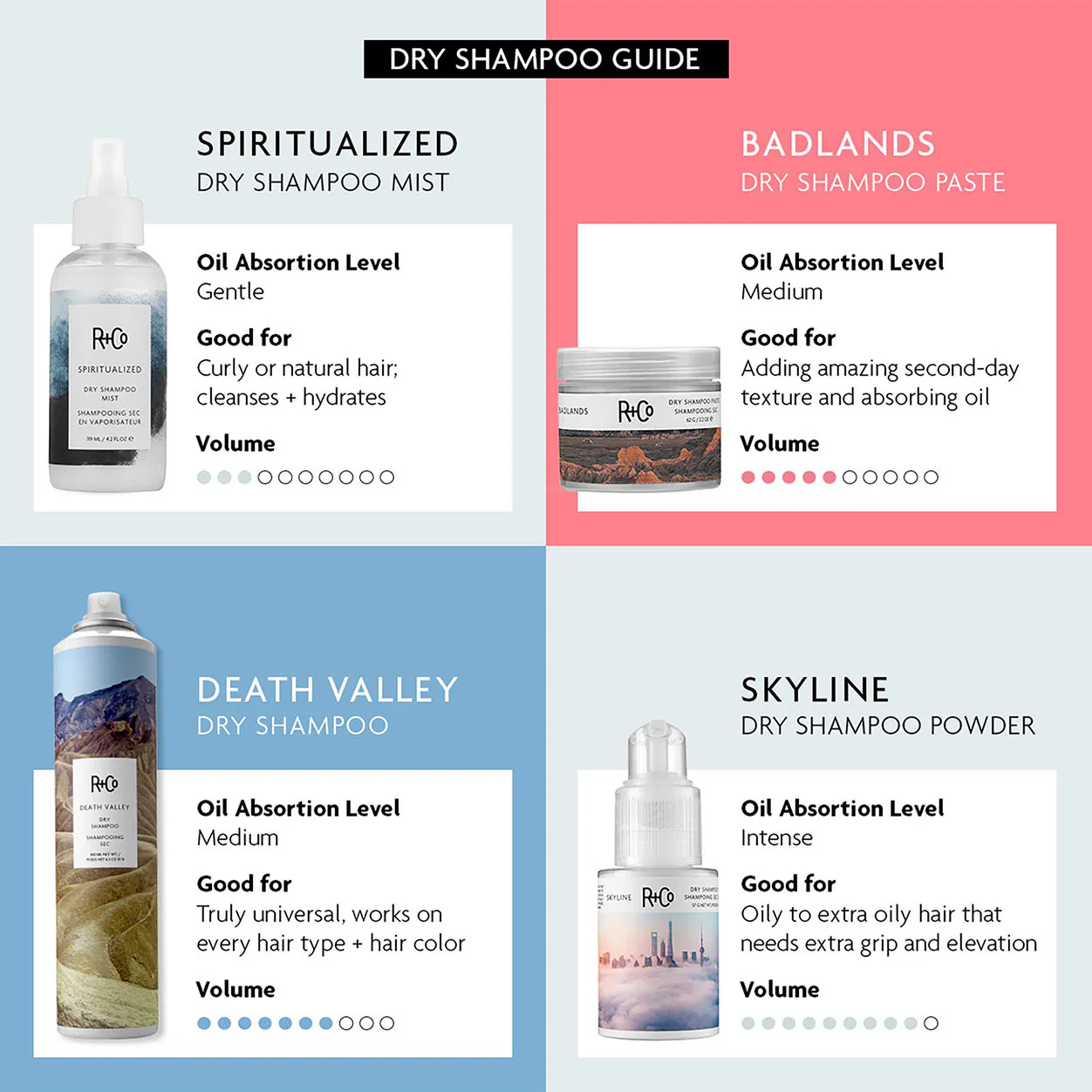 Spiritualized Dry Shampoo Mist - Image 5