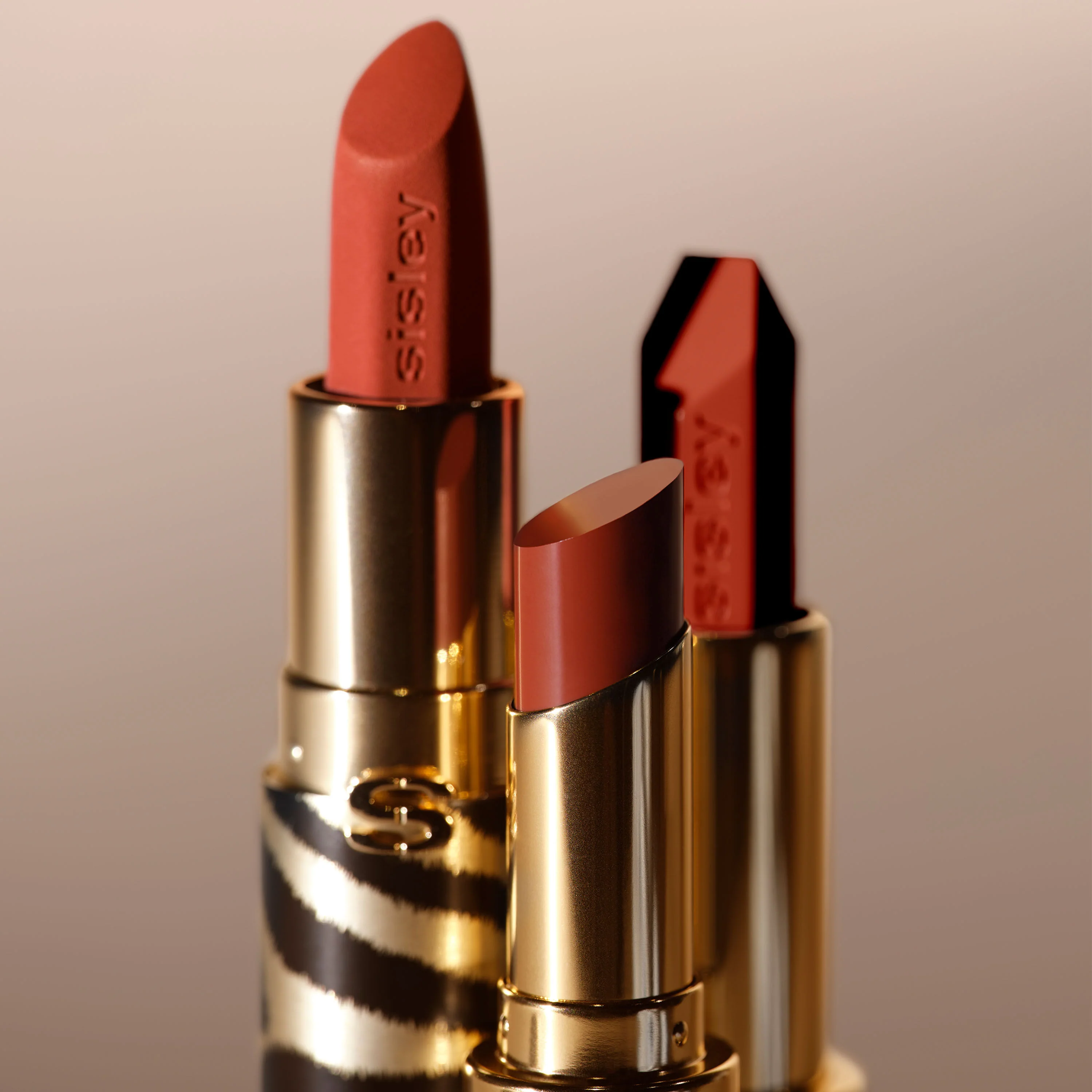 Phyto-Rouge Shine - Image 75