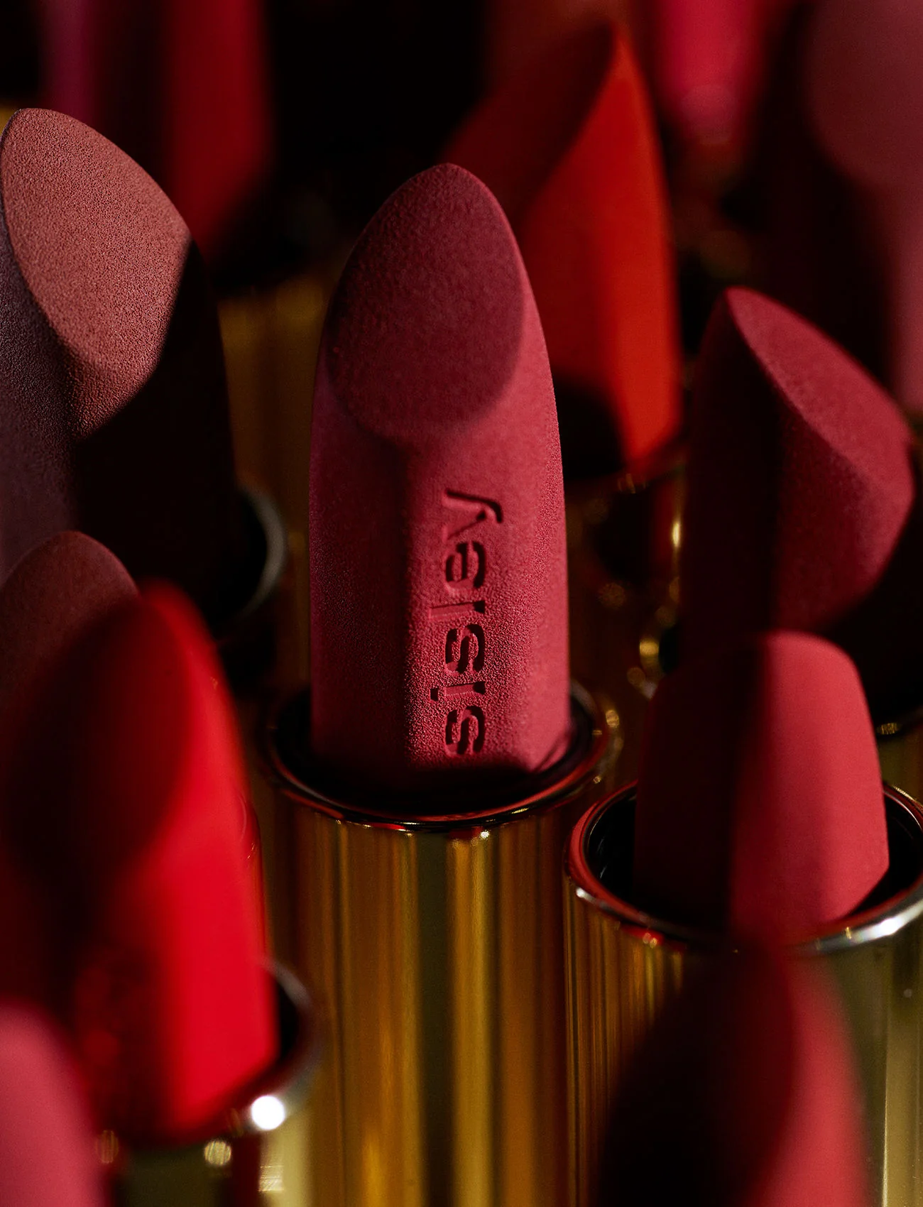 Phyto-Rouge Velvet - Image 6