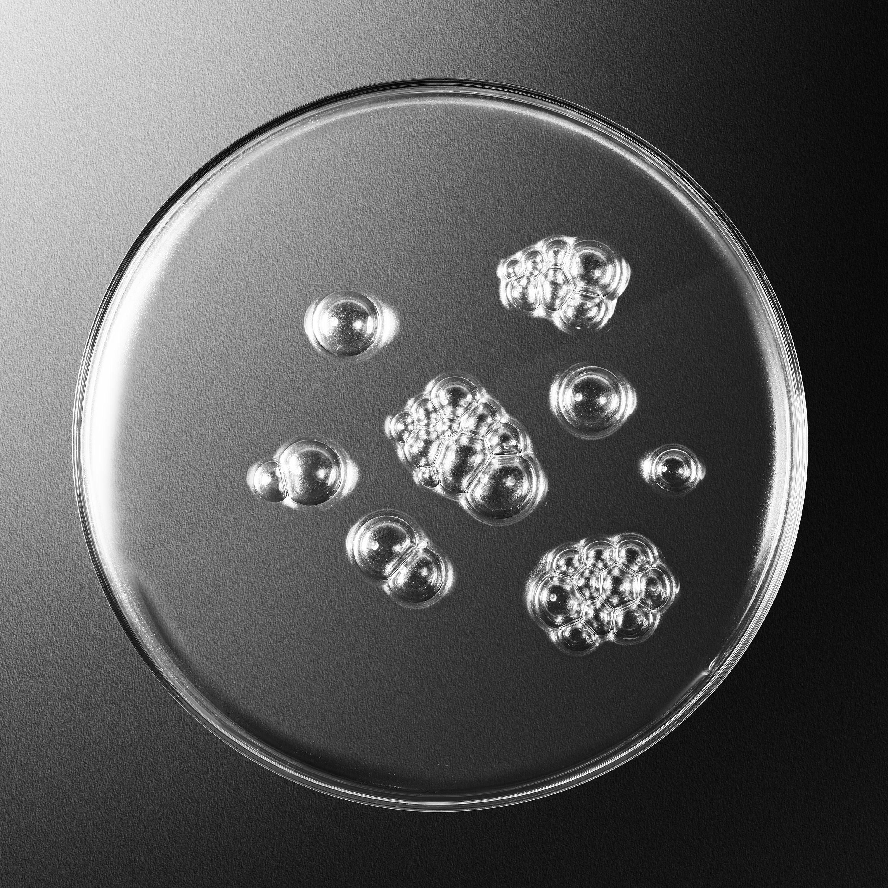 Sisleÿum Revitalizing Toning Lotion - Image 3
