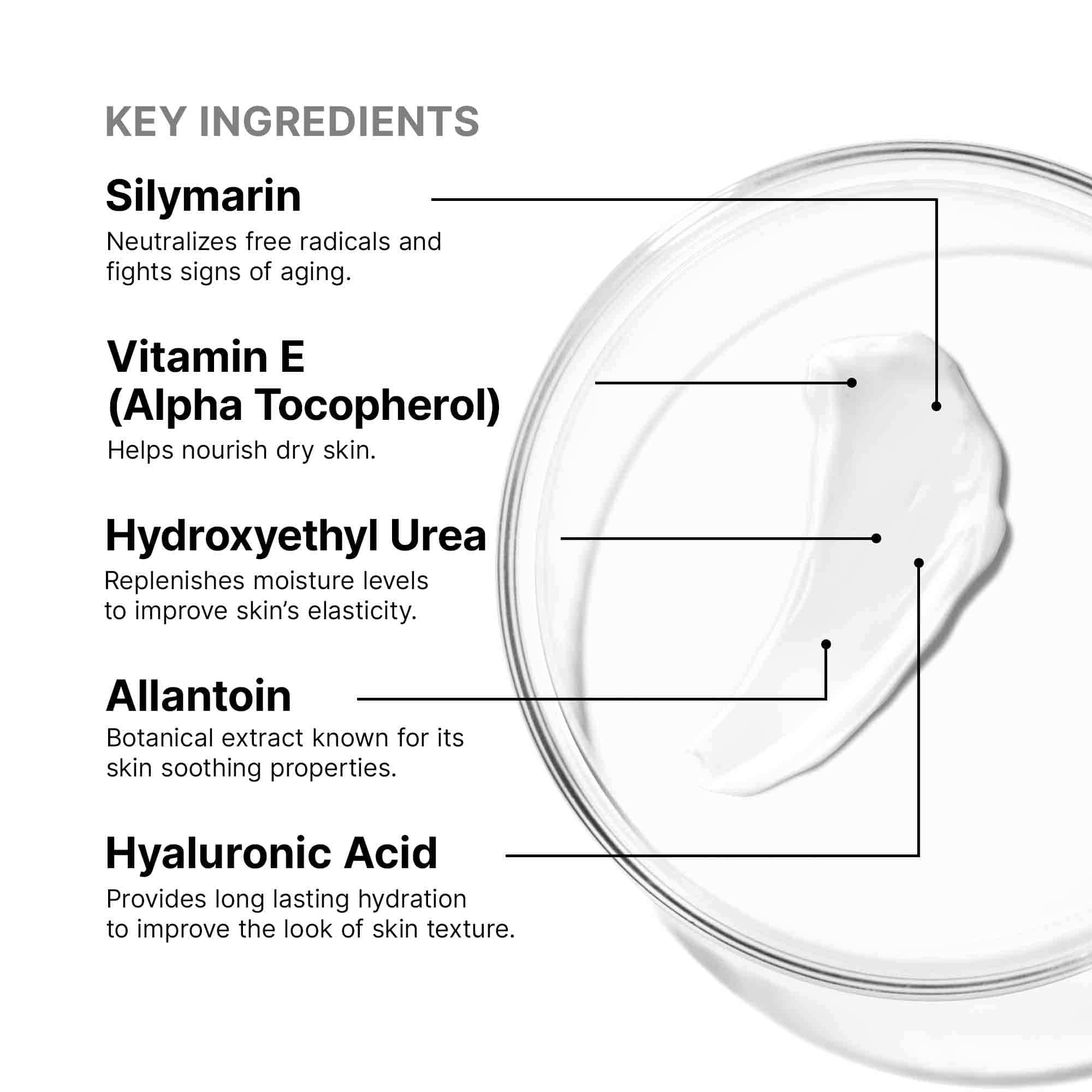 Antioxidant Lip Repair - Image 4