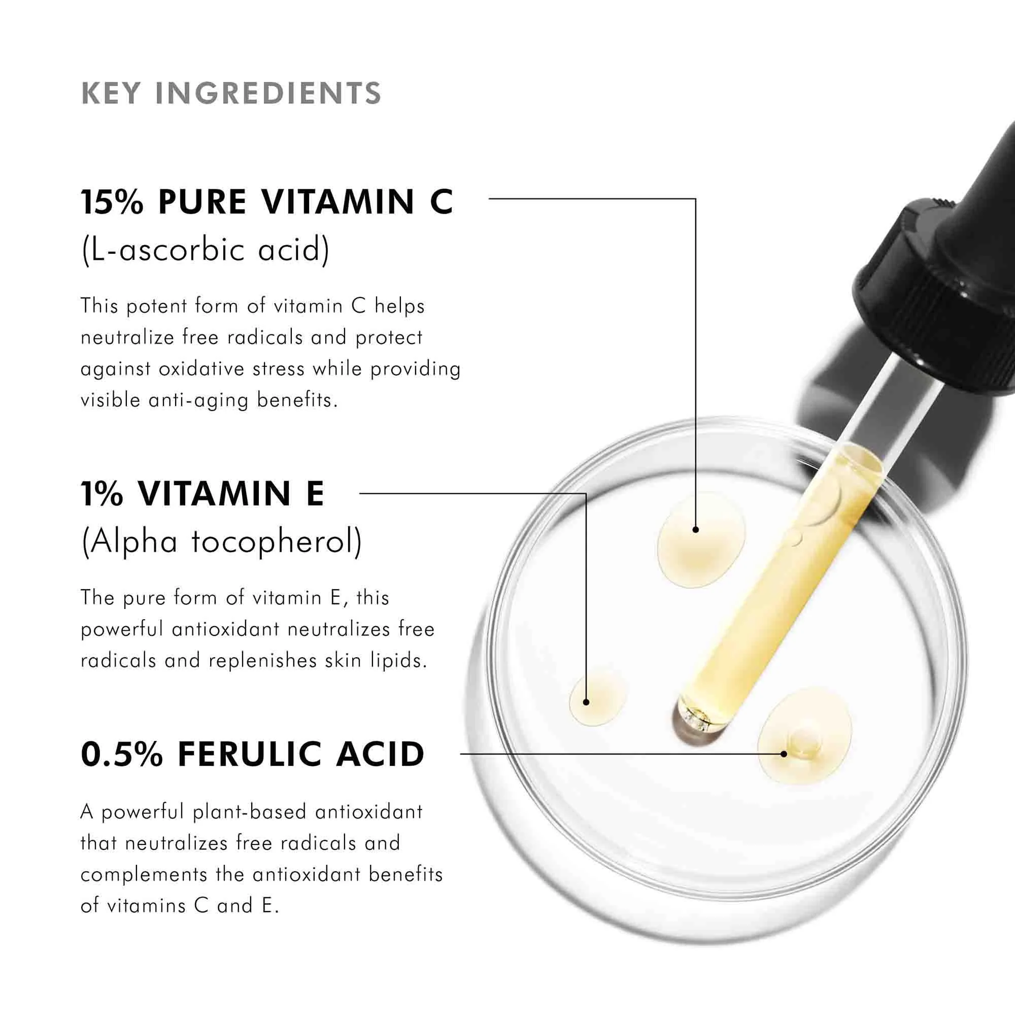 C E Ferulic - Image 7