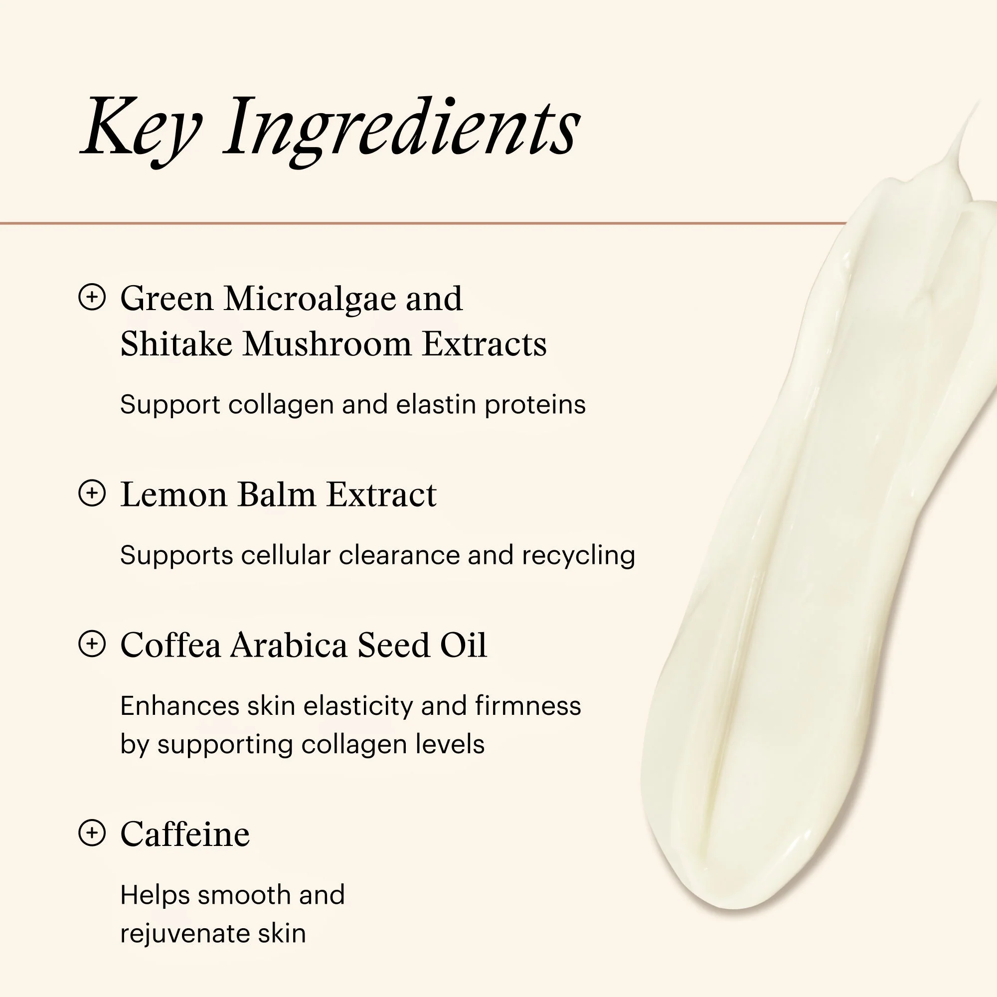 Firm & Tone Lotion for Body - Image 6