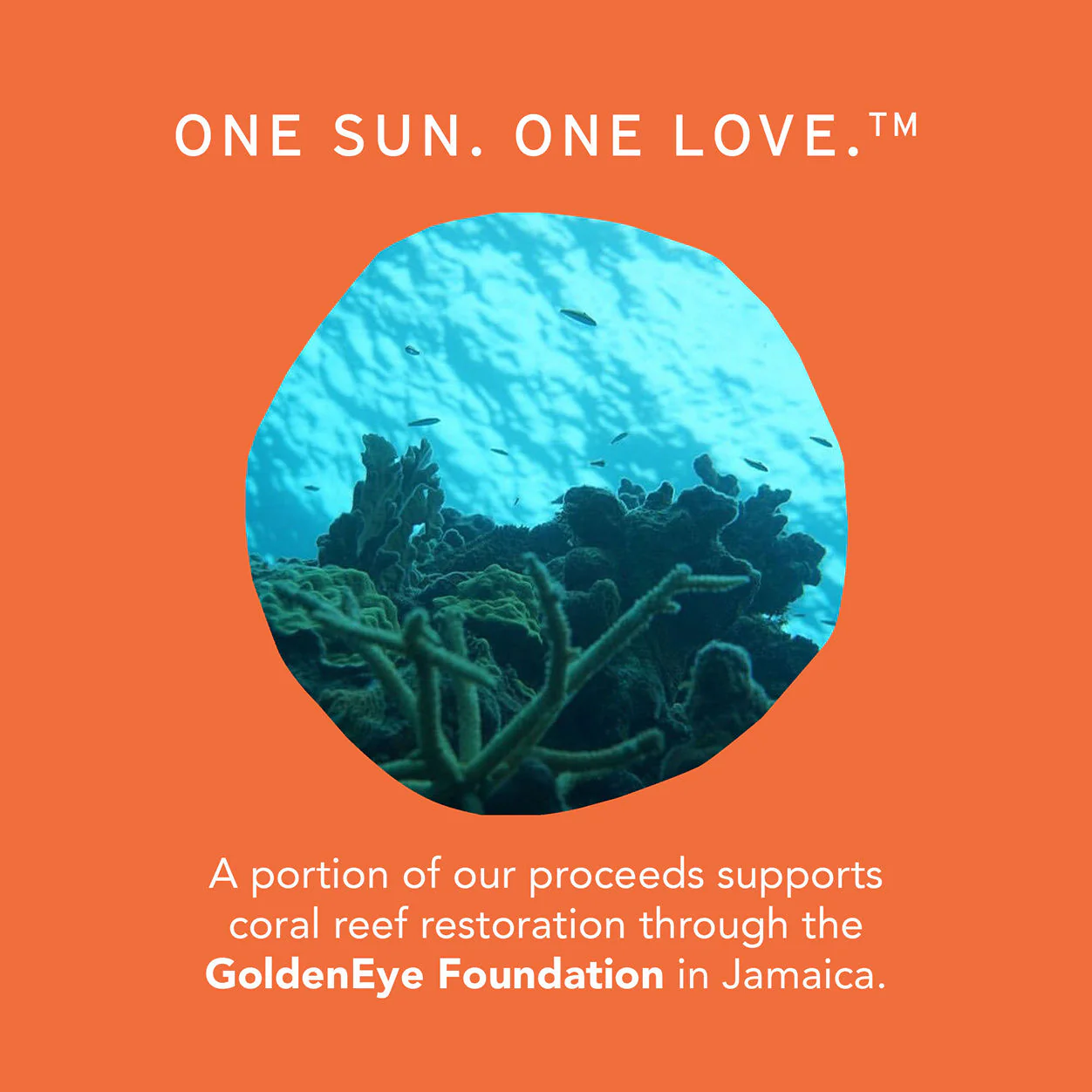 Mineral Ally Daily Face Defense SPF 60 - Image 7