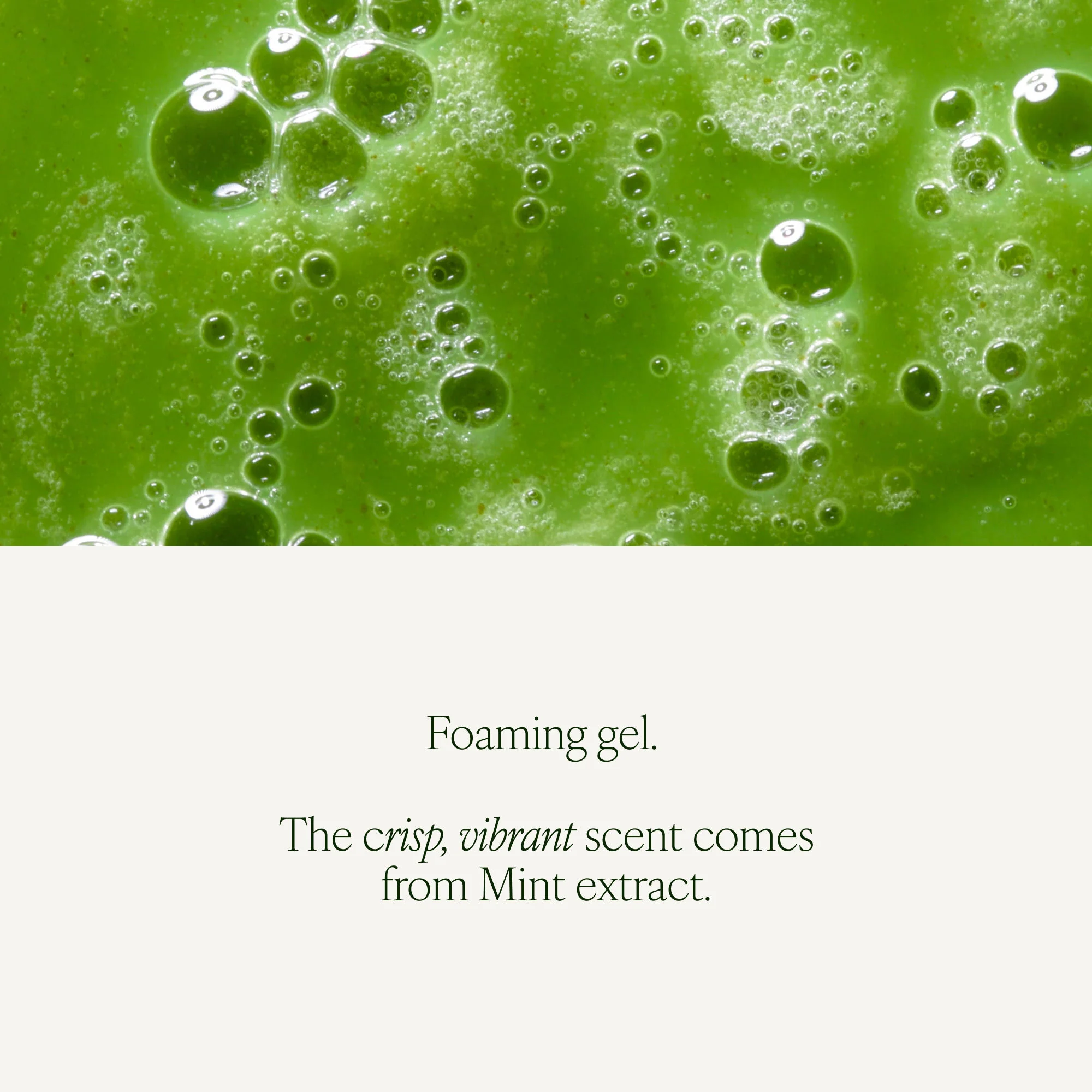 Clarifying Cleanser - Image 7