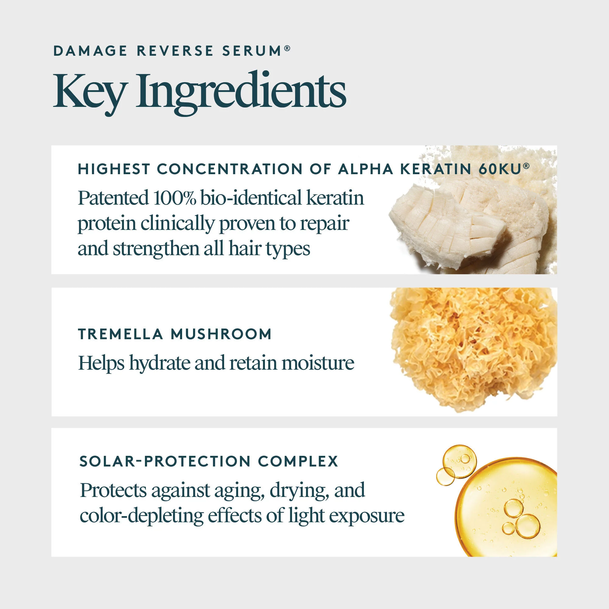 Damage Reverse Serum - Image 14